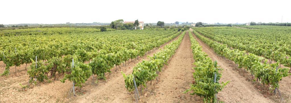 Cal Vibo Villa Vilabella Ngoại thất bức ảnh